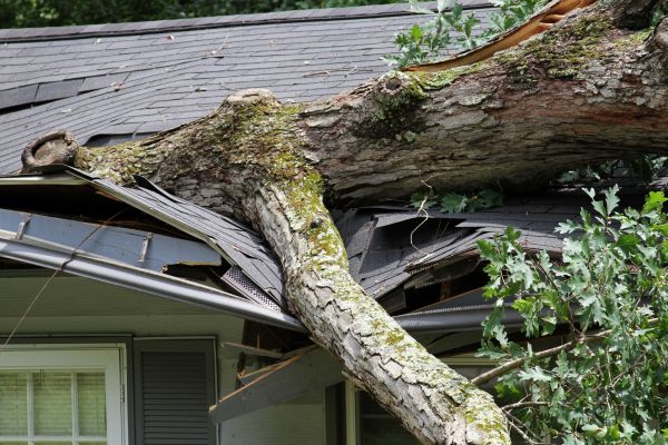 Storm Remediation in Pittsburgh