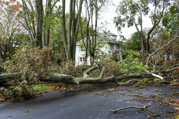 Tornado Damage Repair in Pittsburgh