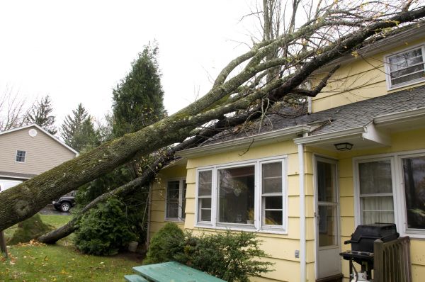 Storm Damage Mitigation in Pittsburgh