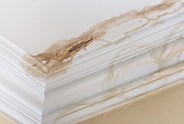 Water Damage Recovery in Pittsburgh