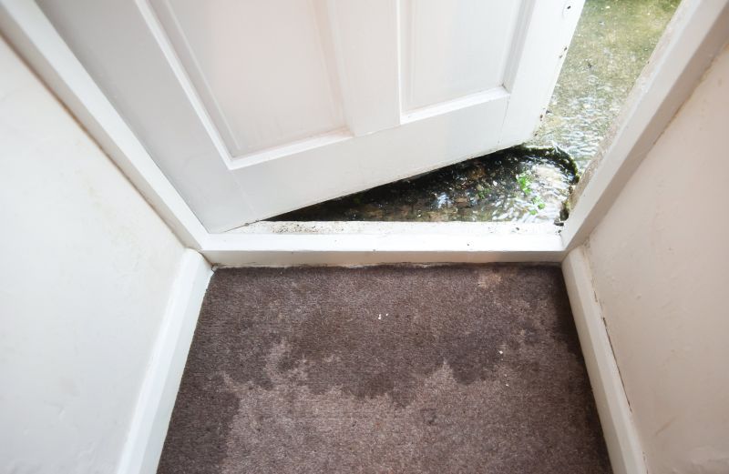 Wet Carpet Restoration detail