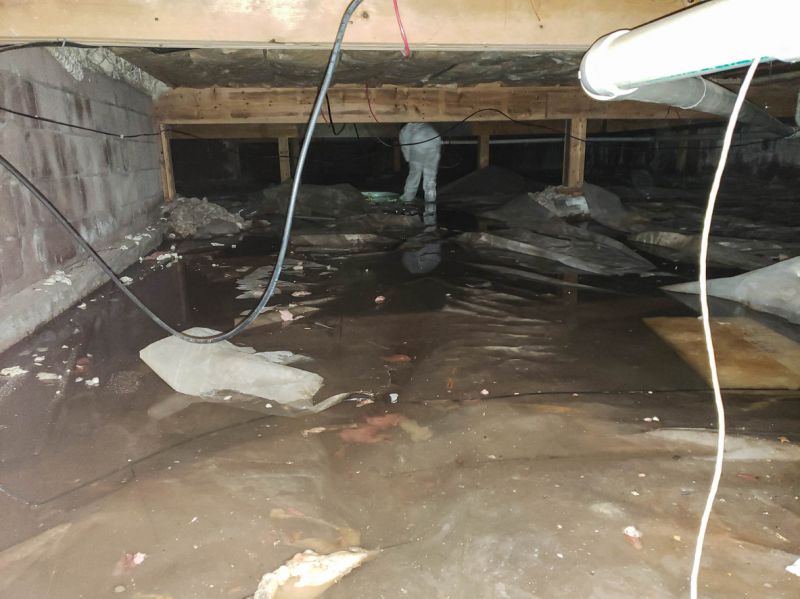 Water Damage Assessment